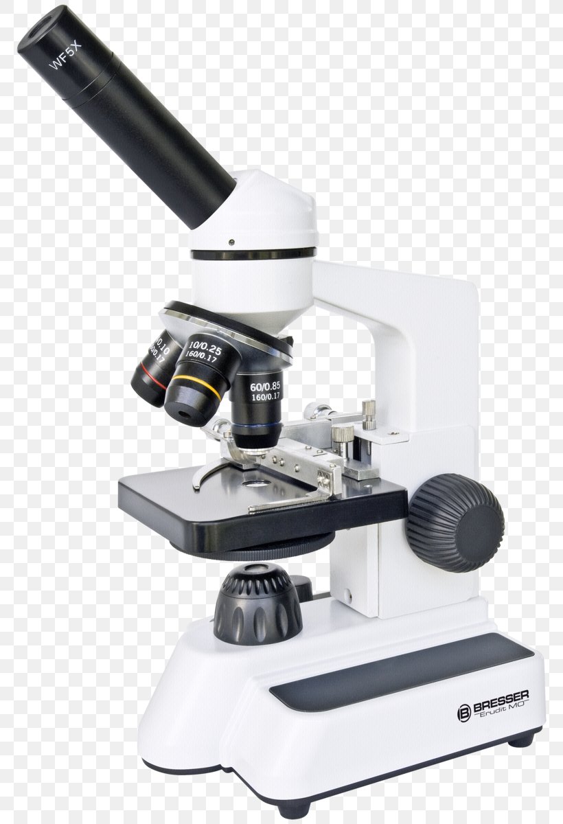 Digital Microscope Bresser Scanning Tunneling Microscope Optical Microscope, PNG, 784x1200px, Microscope, Bresser, Brightfield Microscopy, Camera, Digital Microscope Download Free