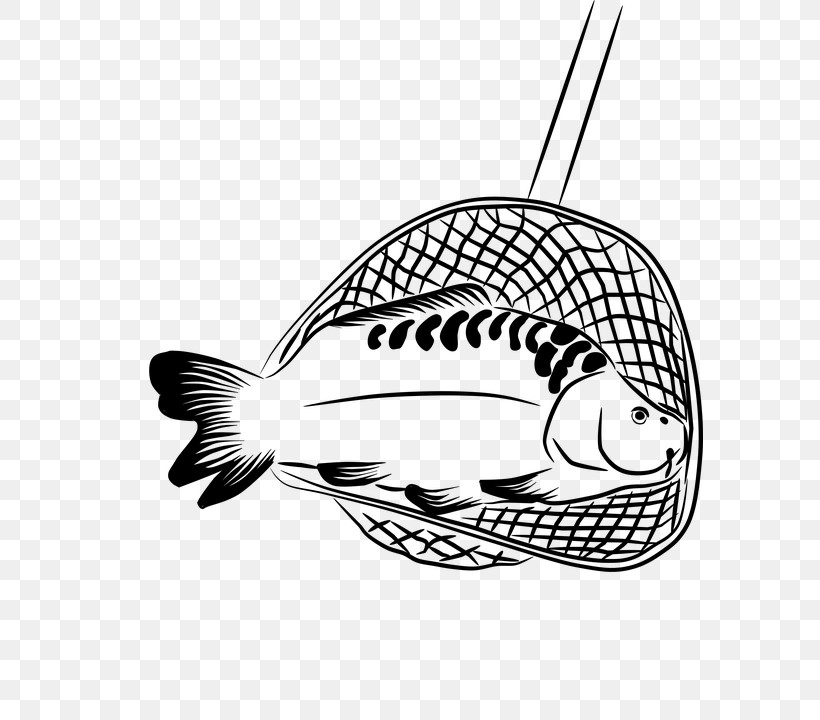 Fish Fish Line Art Coloring Book Black-and-white, PNG, 586x720px, Fish, Blackandwhite, Carp, Coloring Book, Line Art Download Free
