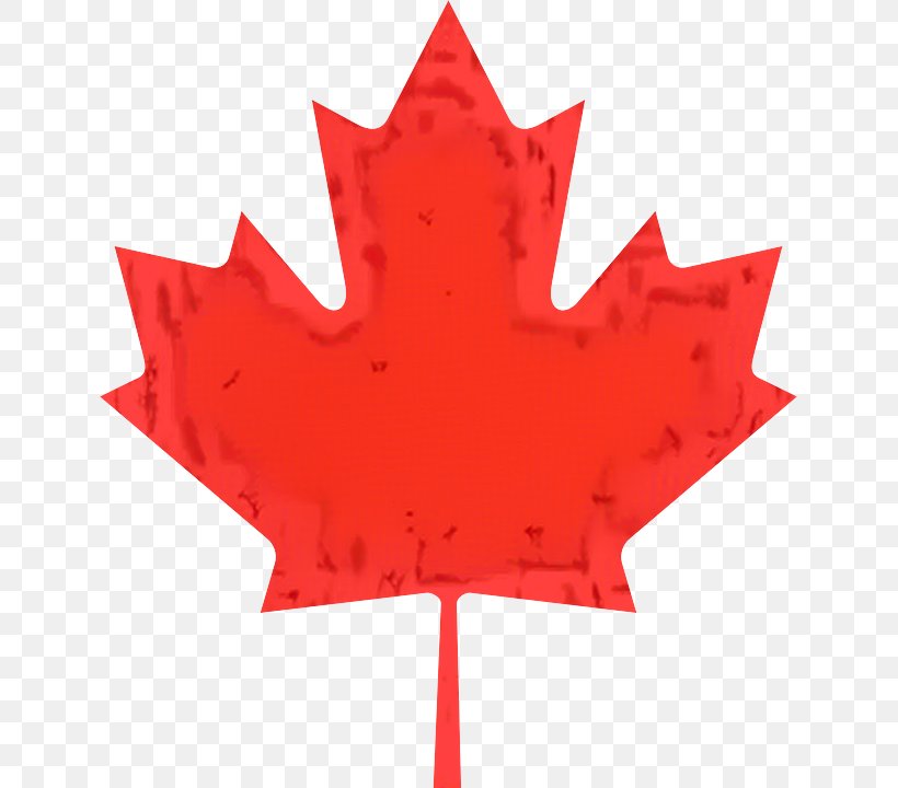 Maple Leaf Flag Of Canada Stock Photography, PNG, 637x720px, Maple Leaf, Black Maple, Canada, Canadian Gold Maple Leaf, Carmine Download Free