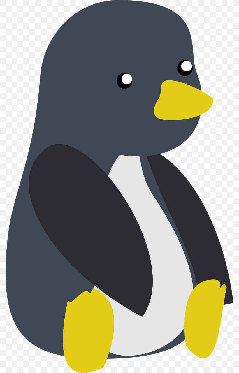 Penguin T-shirt Duck Designer Clip Art, PNG, 782x1280px, Penguin, Beak, Bird, Clothing, Designer Download Free