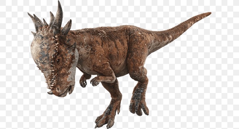 Velociraptor Jurassic World Evolution Pachycephalosaurus Stygimoloch Jurassic Park, PNG, 632x444px, Velociraptor, Dinosaur, Fauna, Jurassic Park, Jurassic World Download Free