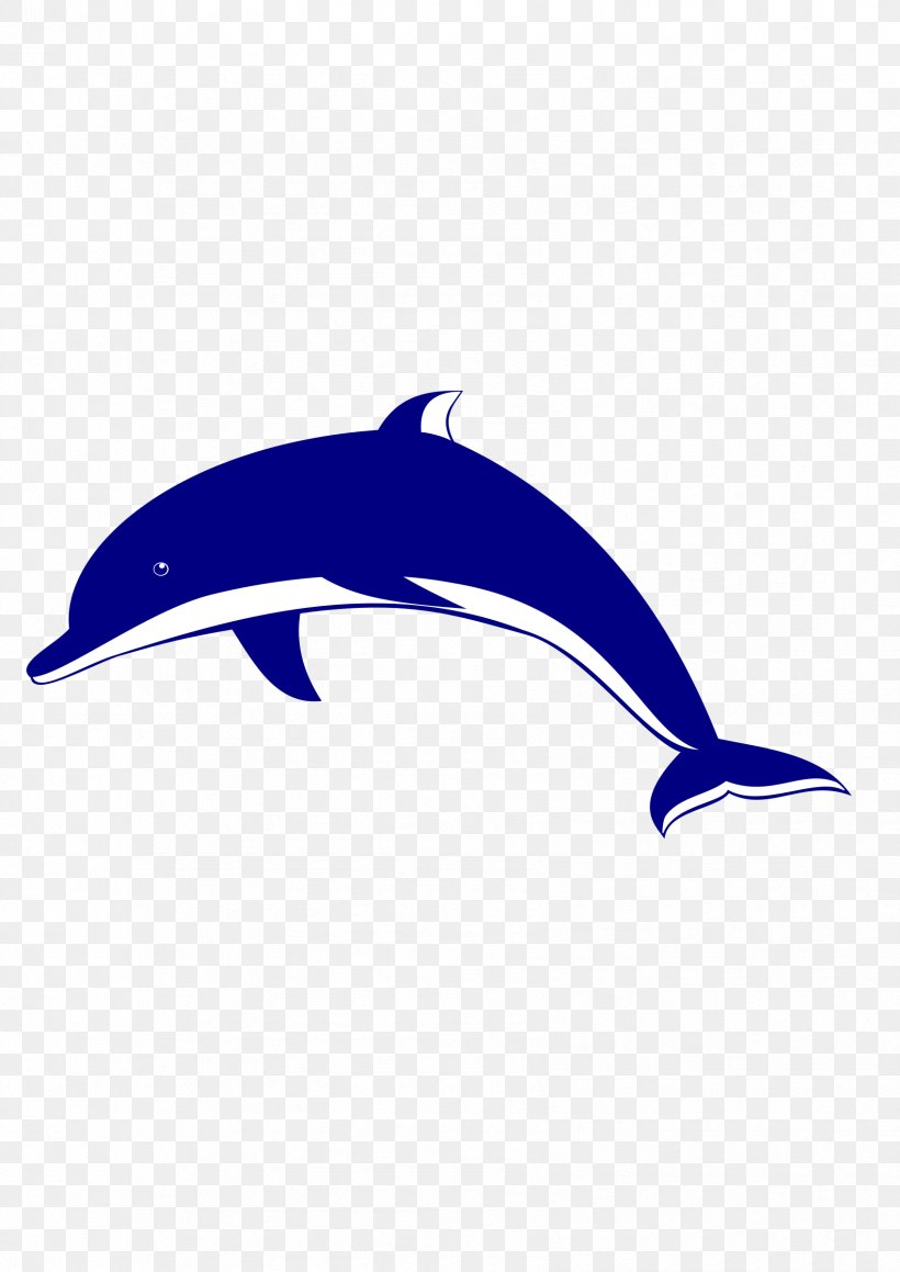 Bottlenose Dolphin Spinner Dolphin Clip Art, PNG, 1697x2400px, Bottlenose Dolphin, Autocad Dxf, Blue, Common Bottlenose Dolphin, Dolphin Download Free