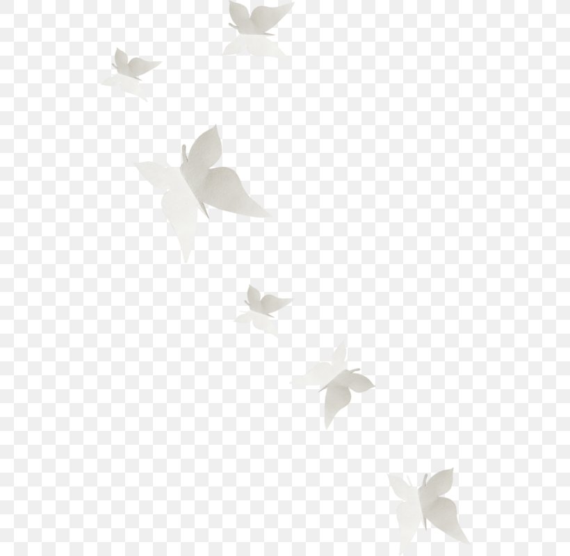 Butterfly White February, PNG, 534x800px, 2017, Butterfly, Black, Black And White, February Download Free