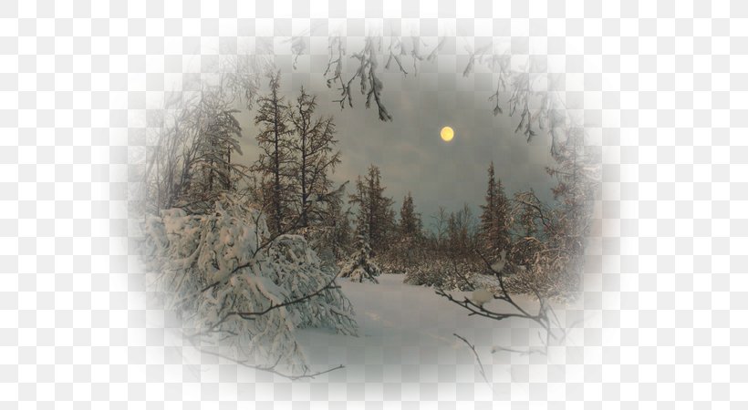 Full Moon Snow Winter Polar Night, PNG, 600x450px, Full Moon, Blizzard, Branch, Cold, Fog Download Free