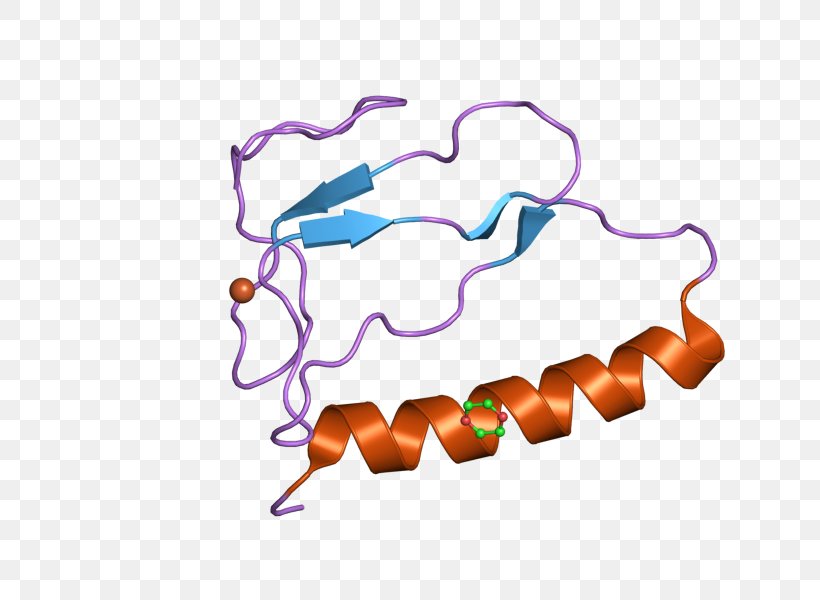 Insulin-like Growth Factor-binding Protein IGFBP1 Insulin-like Growth Factor 1 IGFBP3, PNG, 800x600px, Insulinlike Growth Factor 1, Binding Protein, Downregulation And Upregulation, Gene, Insulinlike Growth Factor Download Free