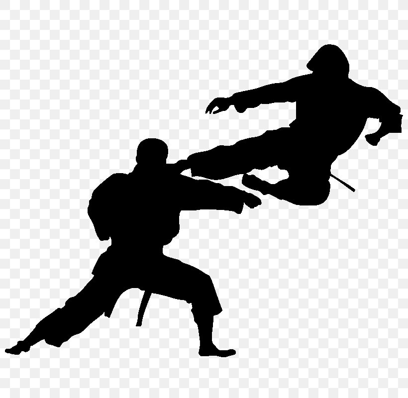 Silhouette Karate Martial Arts Sport, PNG, 800x800px, Silhouette, Black, Black And White, Joint, Karate Download Free