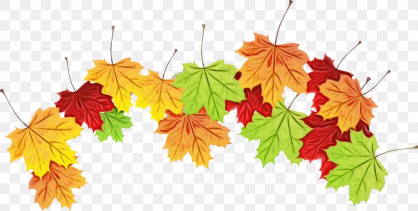Autumn Leaves Watercolor, PNG, 907x458px, Watercolor, Autumn, Black Maple, Branch, Branching Download Free