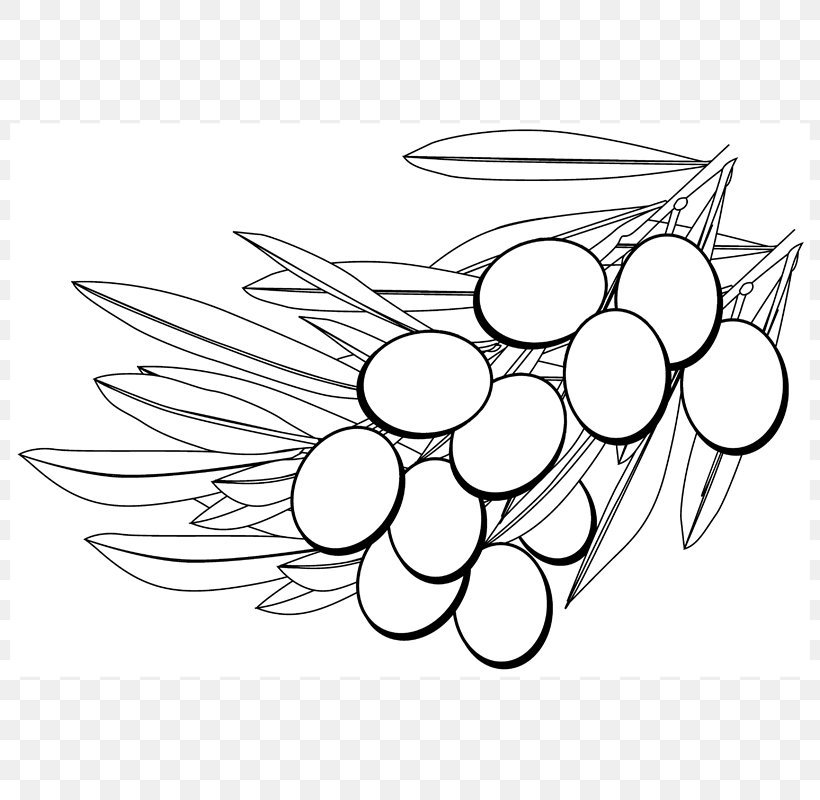 Grape Symmetry Line Art Clip Art, PNG, 800x800px, Grape, Artwork, Black And White, Flower, Grapevine Family Download Free
