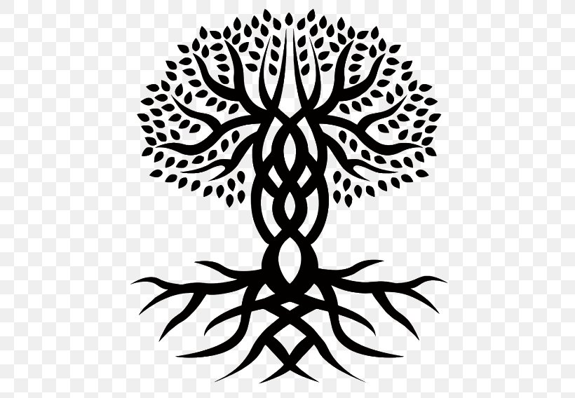 Tree Of Life Celtic Knot Drawing Celts Celtic Art, PNG, 480x568px, Tree Of Life, Art, Blackandwhite, Celtic Art, Celtic Cross Download Free