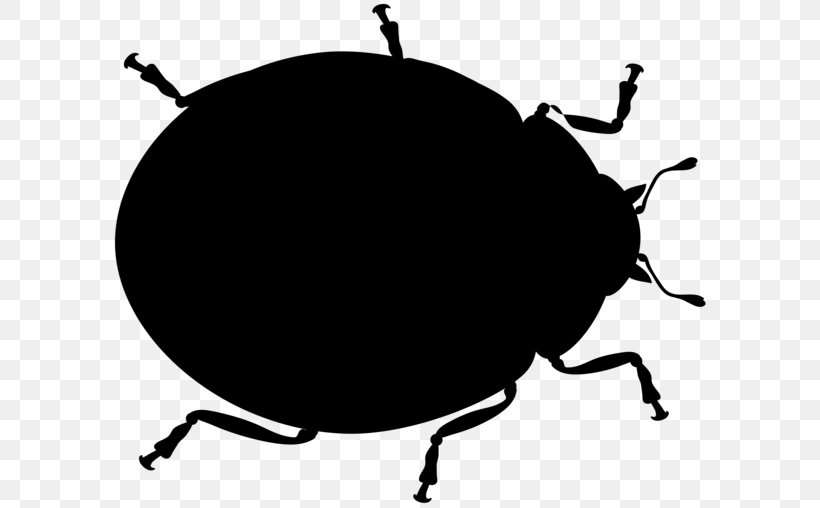 Weevil Beetle Clip Art Silhouette Membrane, PNG, 600x508px, Weevil, Arthropod, Beetle, Darkling Beetles, Dung Beetle Download Free