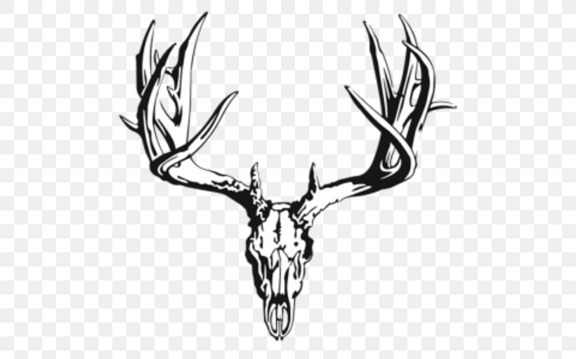 White-tailed Deer Reindeer Antler Elk, PNG, 512x512px, Deer, Antler, Black And White, Deer Hunting, Drawing Download Free