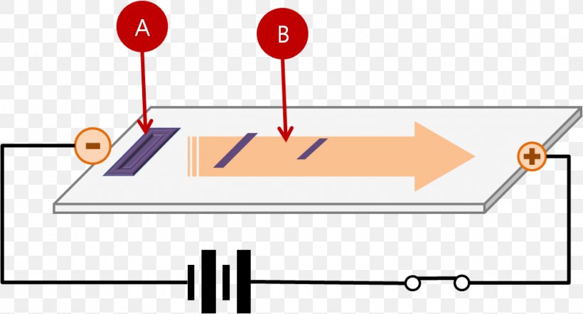 Agarose Gel Electrophoresis DNA, PNG, 972x524px, Gel Electrophoresis, Agarose, Agarose Gel Electrophoresis, Area, Biotechnology Download Free