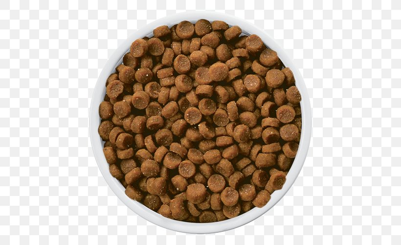Cat Food Dog Hill's Pet Nutrition Kidney, PNG, 500x500px, Cat Food, Cat, Diet, Disease, Dog Download Free