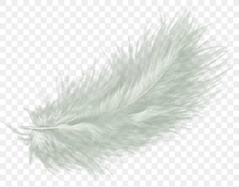 Feather Drawing Clip Art, PNG, 943x739px, Feather, Bing Images, Color, Coloring Book, Drawing Download Free