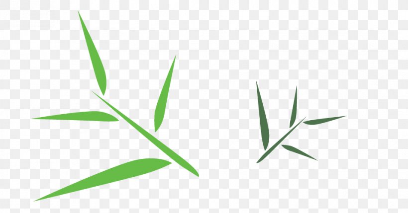 Green Leaf Angle Font, PNG, 955x500px, Green, Grass, Grass Family, Leaf, Plant Stem Download Free