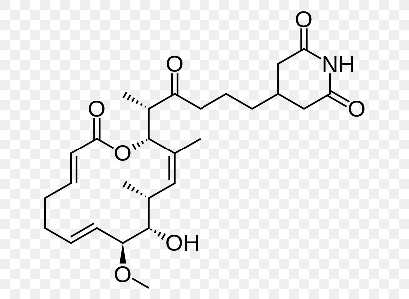 Isomigrastatin Streptomyces Platensis Nootropic Chemical Compound, PNG, 683x600px, Nootropic, Area, Auto Part, Bacteria, Black And White Download Free