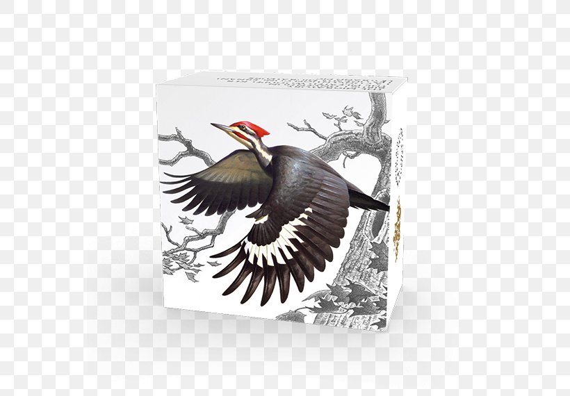 Migratory Birds Convention Act Woodpecker Migratory Bird Treaty Act Of 1918, PNG, 570x570px, Bird, Beak, Bird Migration, Canada, Coin Download Free