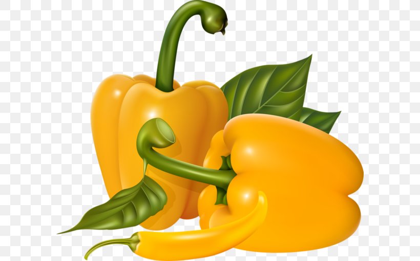 Vegetable Graphic Design, PNG, 600x509px, Vegetable, Bell Pepper, Bell Peppers And Chili Peppers, Capsicum, Cayenne Pepper Download Free