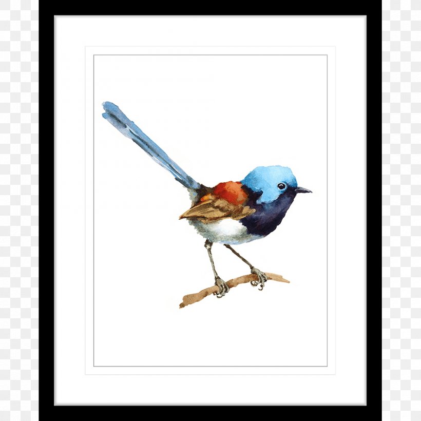 Watercolor Painting Bird Wren Art, PNG, 1000x1000px, Watercolor Painting, Art, Beak, Bird, Bluebird Download Free