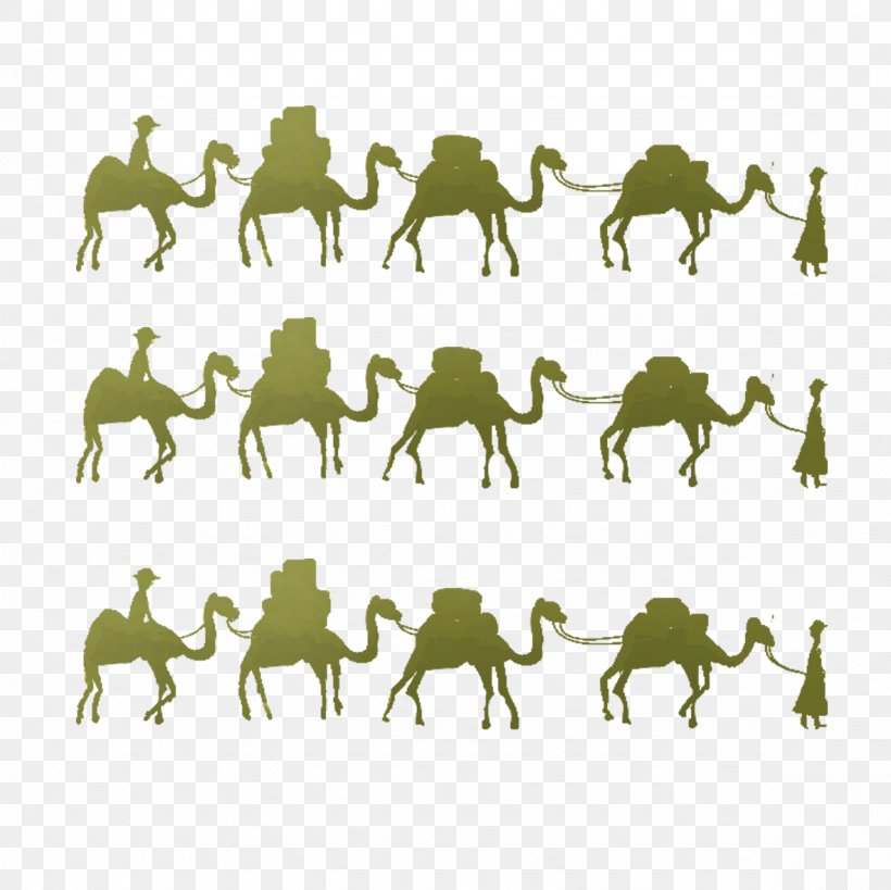 Camel One Belt One Road Initiative Horse Maritime Silk Road, PNG, 1181x1181px, Camel, Bmp File Format, Google Images, Grass, Grayscale Download Free