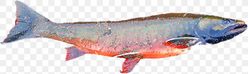 Salmon Omega-3 Fatty Acids Crohn's Disease Food Nutrient, PNG, 1600x481px, Salmon, Animal Figure, Anisakis, Atlantic Salmon, Bony Fish Download Free