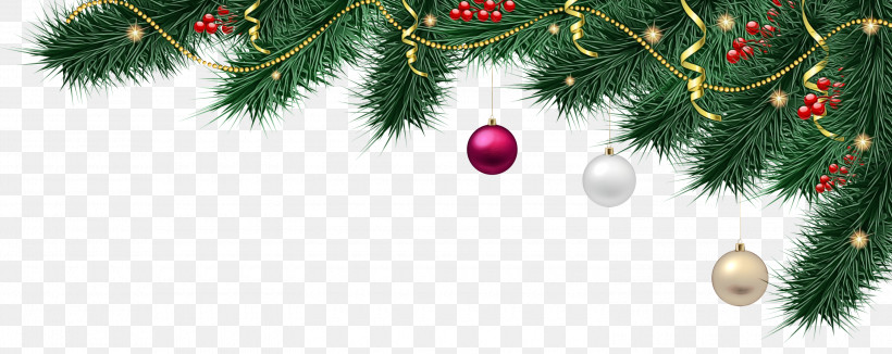 Christmas Ornament, PNG, 3000x1194px, Watercolor, Christmas Day, Christmas Ornament, Christmas Tree, Conifers Download Free