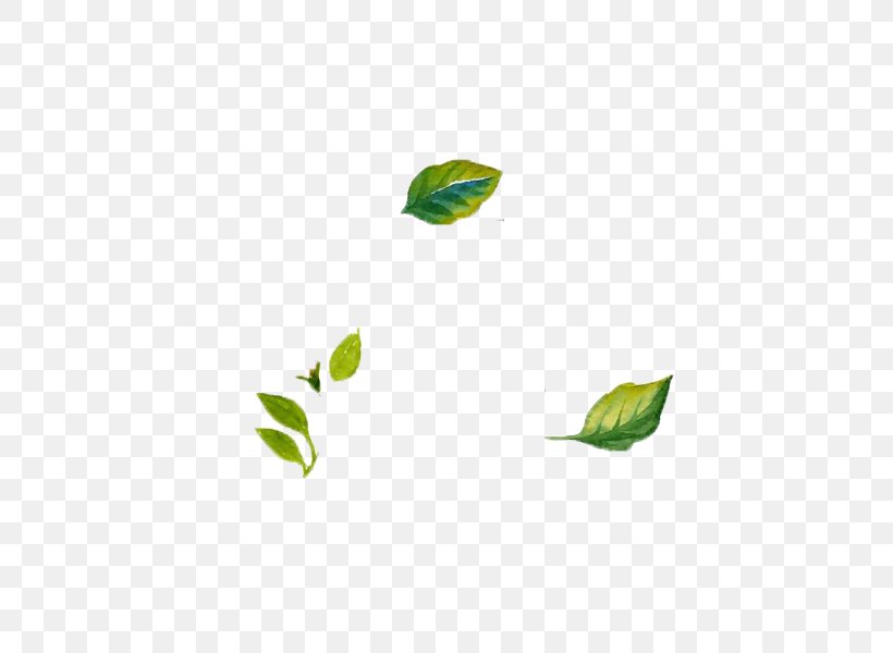 Leaf Design Image Adobe Photoshop, PNG, 600x600px, Leaf, Color, Designer, Green, Image Resolution Download Free