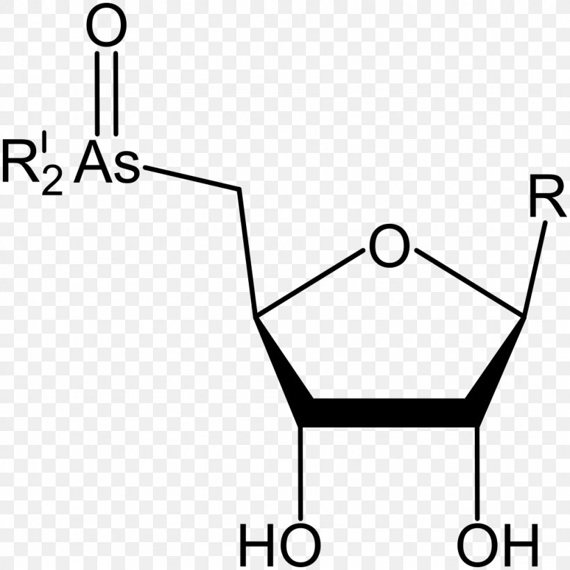 Caprylic Acid S-Adenosyl Methionine Glucaric Acid, PNG, 1024x1024px, Caprylic Acid, Acid, Area, Black, Black And White Download Free