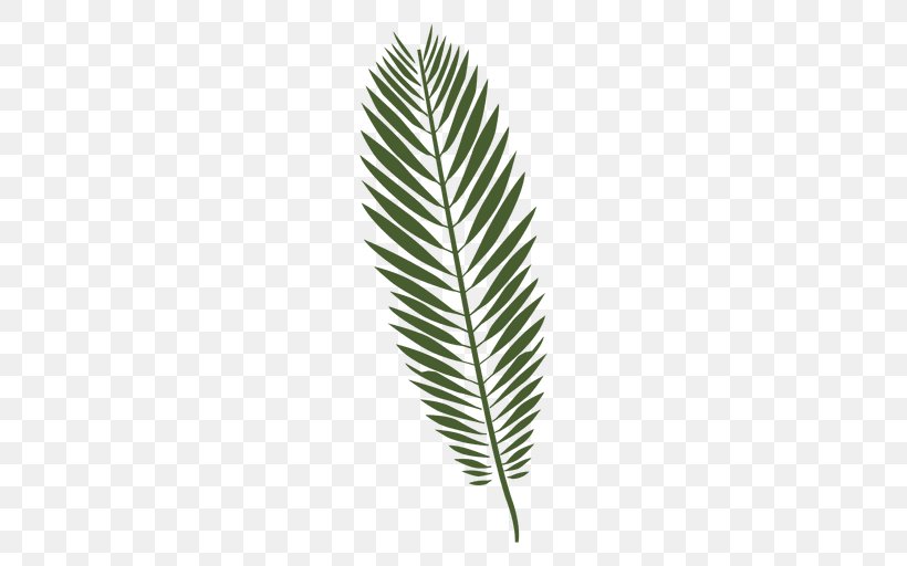 Leaf Drawing Fern, PNG, 512x512px, Leaf, Arecaceae, Arecales, Drawing, Feather Download Free