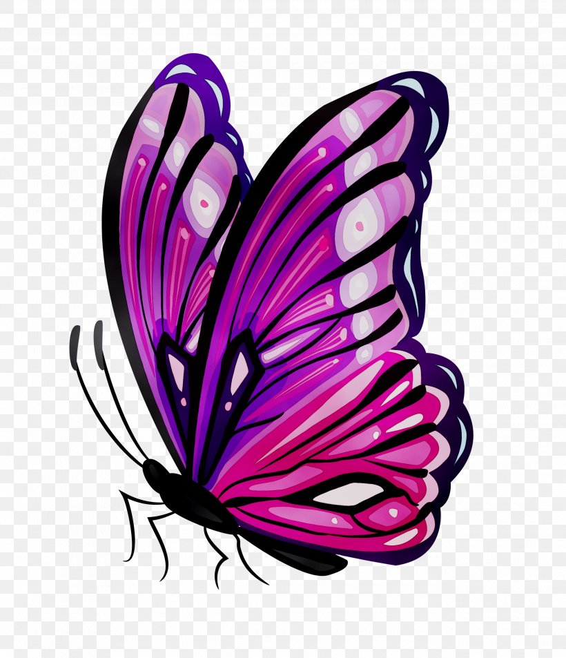 Temporary Tattoos Body Art Abziehtattoo Sticker, PNG, 2580x3000px, Temporary Tattoos, Abziehtattoo, Art, Body Art, Brushfooted Butterfly Download Free