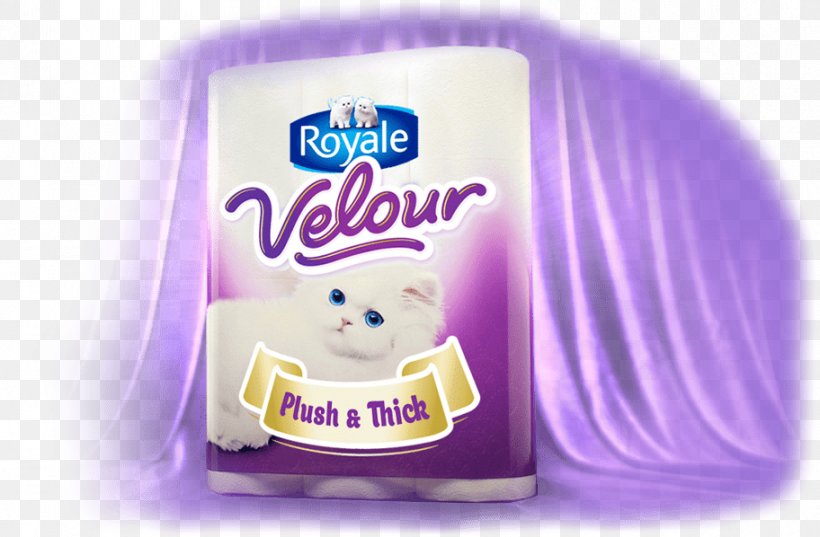 Toilet Paper Tissue Paper Brand, PNG, 912x598px, Paper, Bathroom, Brand, Code, Coupon Download Free