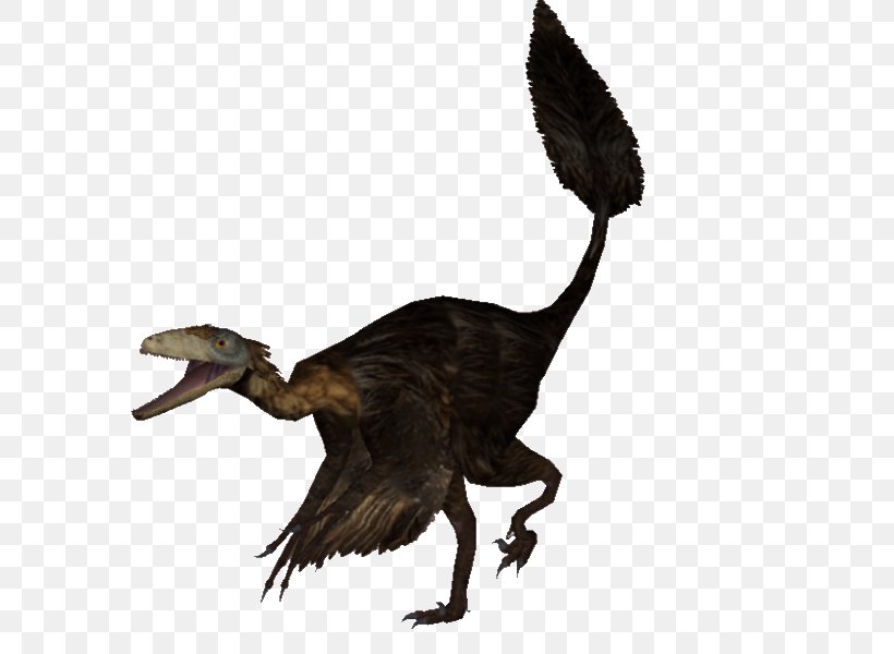 Anatidae Velociraptor Goose Cygnini Duck, PNG, 800x600px, Anatidae, Beak, Bird, Cygnini, Dinosaur Download Free