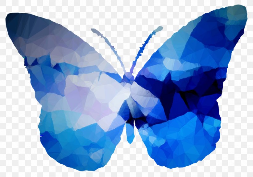 Art Facebook Symmetry Laptop M. Butterfly, PNG, 840x590px, Art, Azure, Blue, Butterfly, Cobalt Blue Download Free