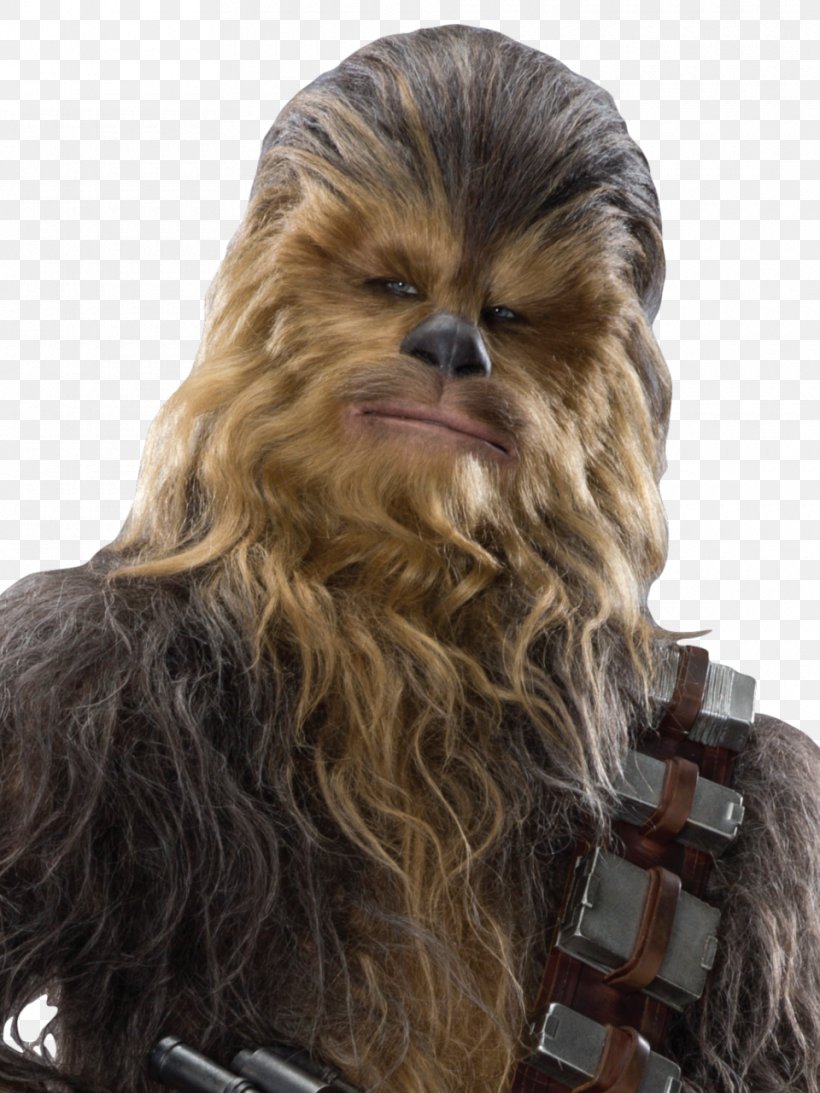 Chewbacca Han Solo Star Wars Sequel Trilogy Wookiee, PNG, 960x1280px, Chewbacca, Film, George Lucas, Hair, Han Solo Download Free