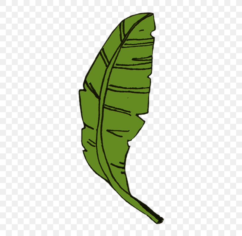 Clip Art Sri Lanka Appam Leaf Image, PNG, 389x800px, Sri Lanka, Appam, Art, Banana Leaf, Botany Download Free