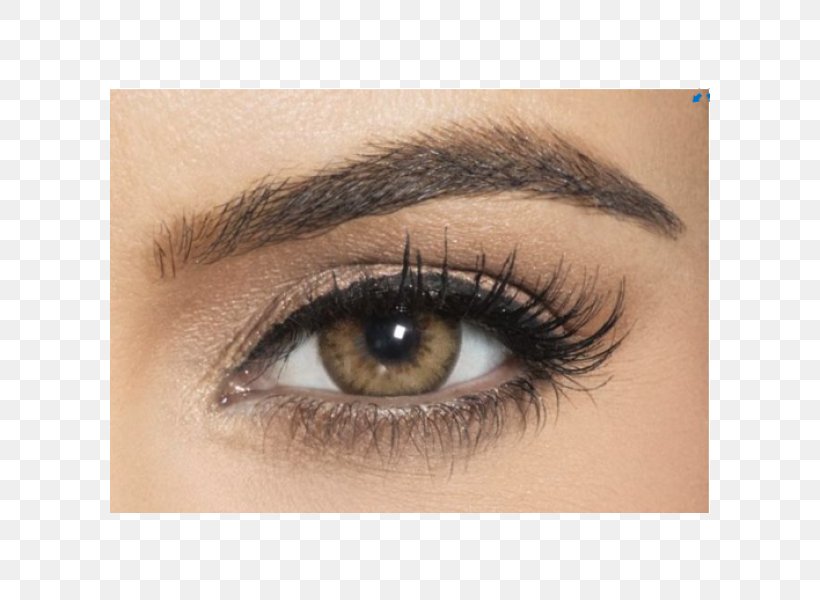 Contact Lenses FreshLook COLORBLENDS Circle Contact Lens, PNG, 600x600px, Contact Lenses, Achromatopsia, Blue, Brown, Brown Diamonds Download Free