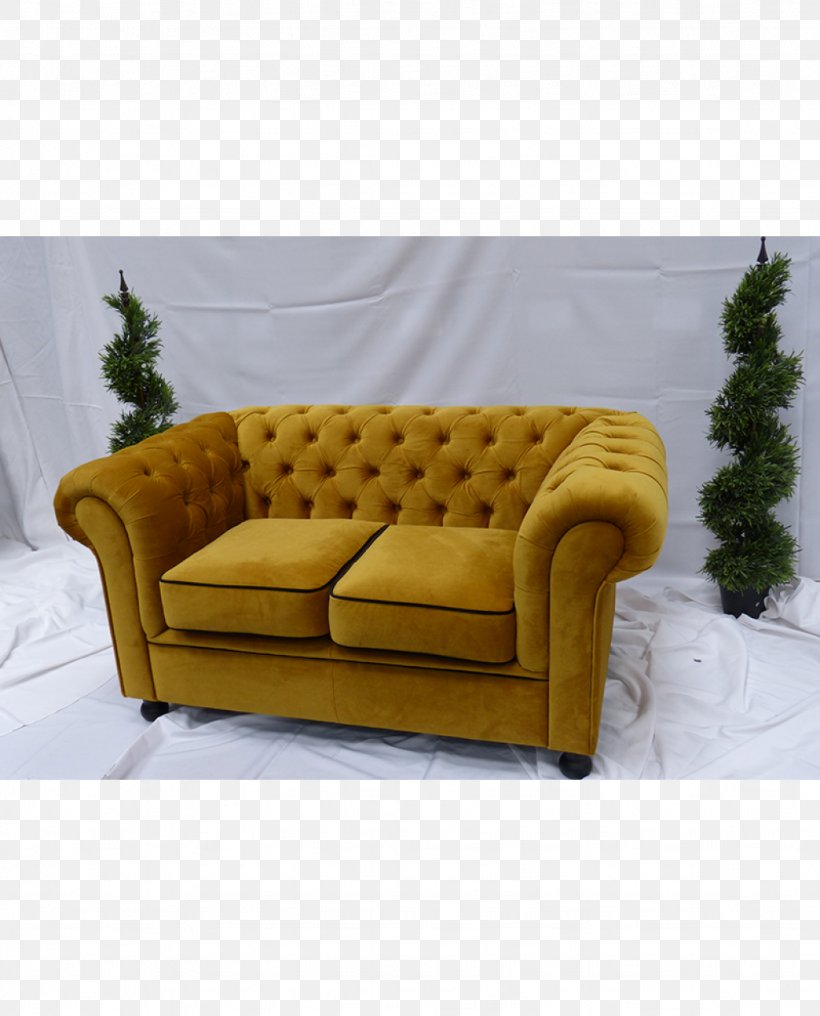 Couch Sofa Bed Chair Furniture Bedroom, PNG, 1024x1269px, Couch, Apartment, Bed, Bedroom, Carpet Download Free