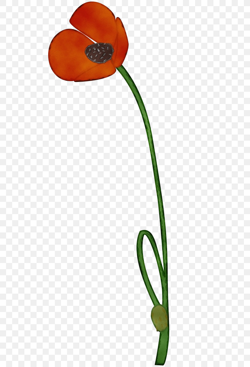 Plant Flower Tulip Plant Stem, PNG, 504x1200px, Watercolor, Flower, Paint, Plant, Plant Stem Download Free