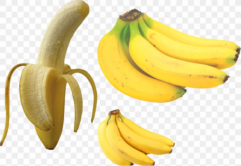 Saba Banana Cooking Banana Food, PNG, 2496x1721px, Saba Banana, Banana, Banana Family, Cooking Banana, Cooking Plantain Download Free