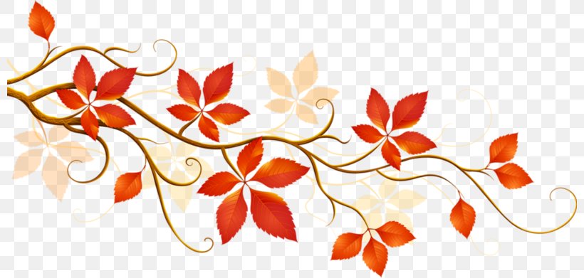 Autumn Leaf Color Flower Clip Art, PNG, 800x391px, Autumn, Autumn Leaf Color, Branch, Cartoon, Color Download Free
