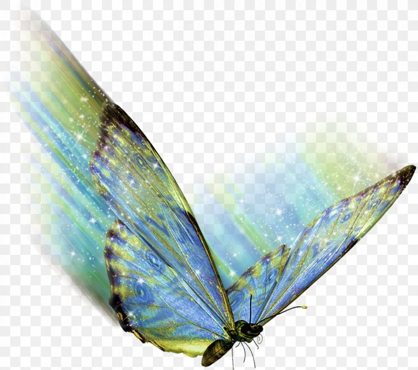 Butterfly .az .net .de .hu, PNG, 1200x1063px, Butterfly, Butterflies And Moths, Eau De Parfum, Info, Insect Download Free