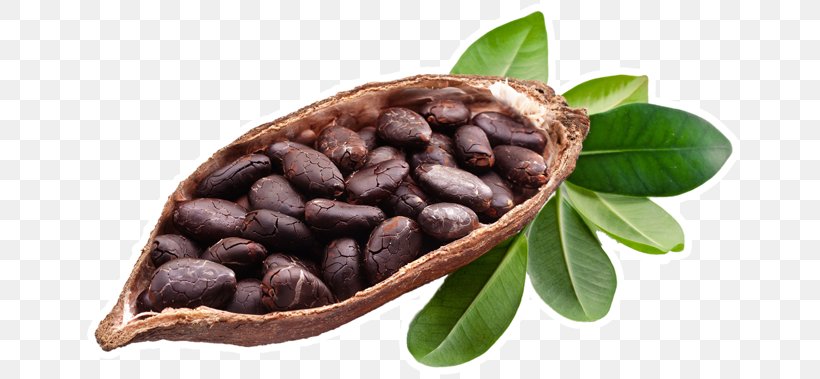Cocoa Bean Antico Forno Di Garavaglia Fulvio & C. Snc Chocolate Bar Dietary Supplement Food, PNG, 660x379px, Cocoa Bean, Bean, Cacao Arriba, Chocolate, Chocolate Bar Download Free