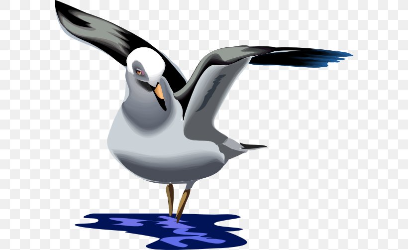 Gulls Bird Animation Cartoon Clip Art, PNG, 600x502px, Gulls, Animation, Beak, Bird, Cartoon Download Free