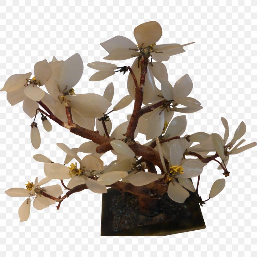Jade Plant Branch Tree Twig, PNG, 1591x1591px, Jade, Bonsai, Branch, Bud, Flower Download Free