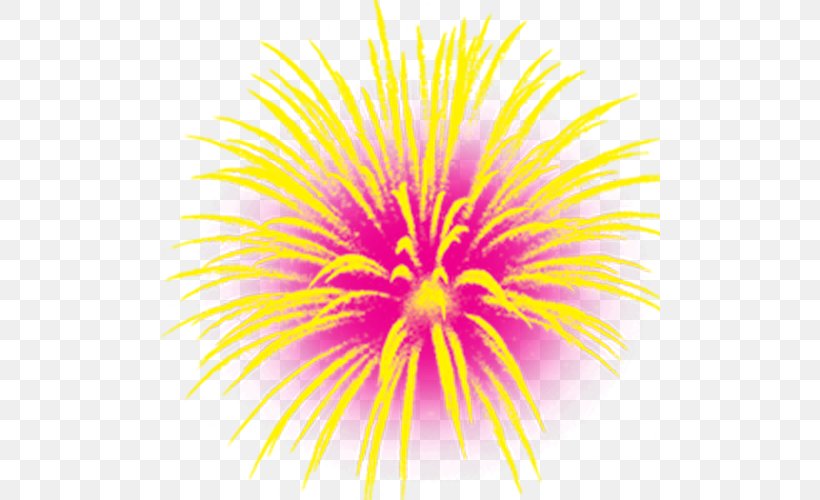 National Day Of The Peoples Republic Of China Fireworks National Day Of The Republic Of China Chinese New Year, PNG, 500x500px, Fireworks, Chinese New Year, Chrysanths, Close Up, Dahlia Download Free