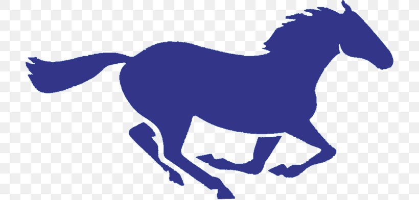 San Dieguito Academy Mustang National Secondary School Canyon Crest Academy La Costa Canyon High School, PNG, 720x392px, San Dieguito Academy, Canyon Crest Academy, Colt, Equestrian, Equestrian Sport Download Free