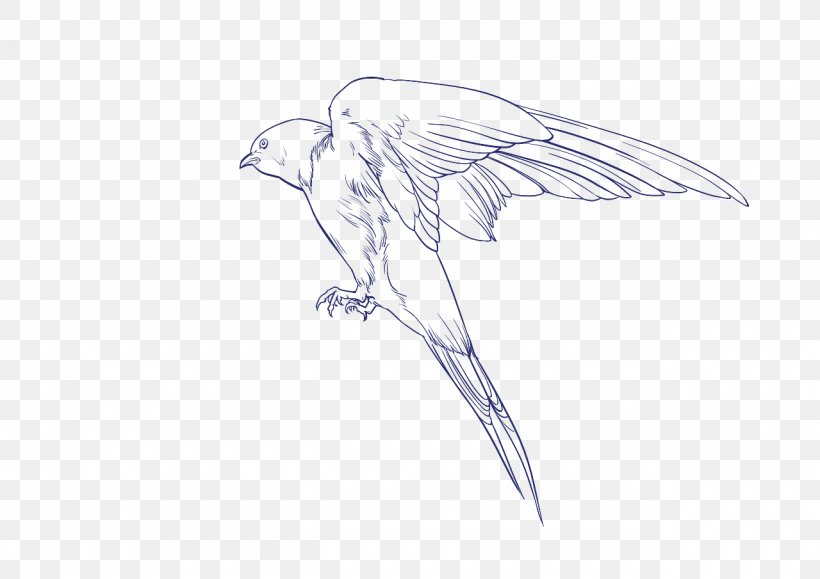 Beak Sketch Bird Of Prey Drawing, PNG, 1280x905px, Beak, Art, Bird, Bird Of Prey, Character Download Free