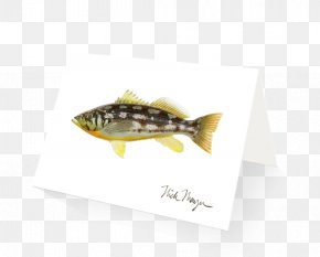 Design - Fish PNG