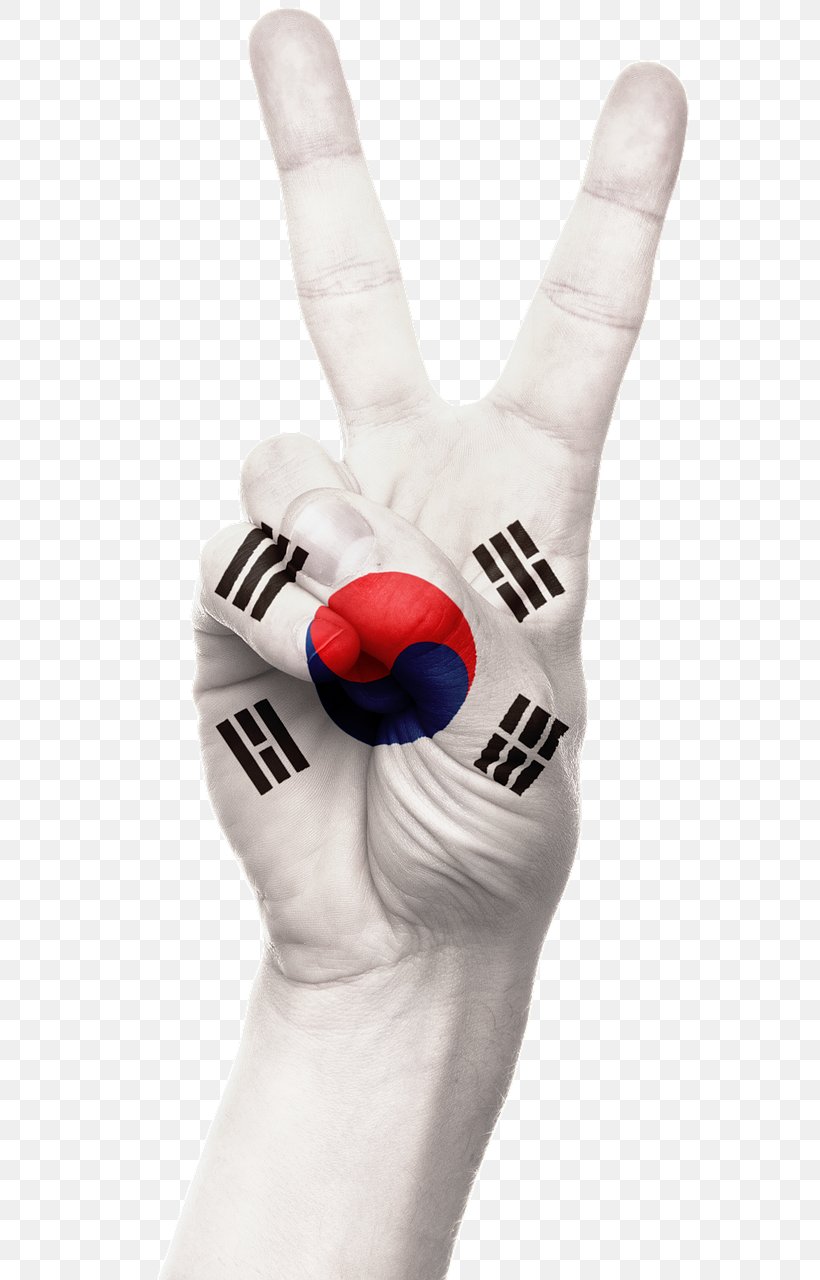Flag Of South Korea Flag Of North Korea, PNG, 561x1280px, South Korea, Arm, Finger, Flag, Flag Of North Korea Download Free