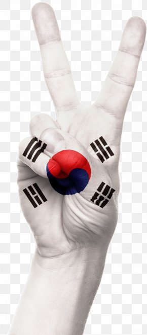 Flag - Flag Of South Korea Flag Of North Korea PNG